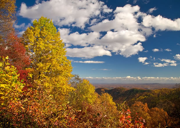 Fall Overlook